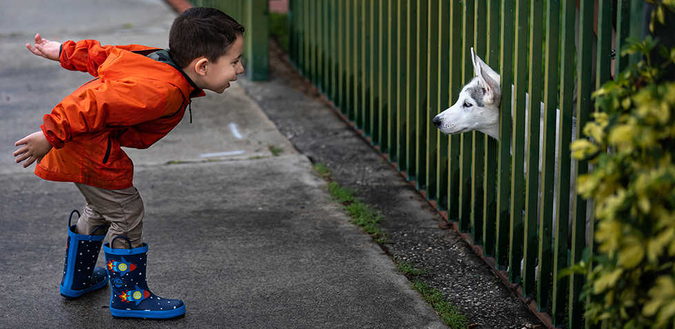 Boy Playing With Dog